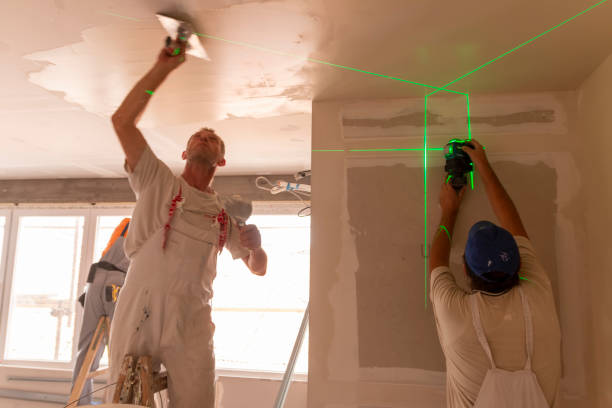 Best Attic Mold Removal  in Mammoth, AZ